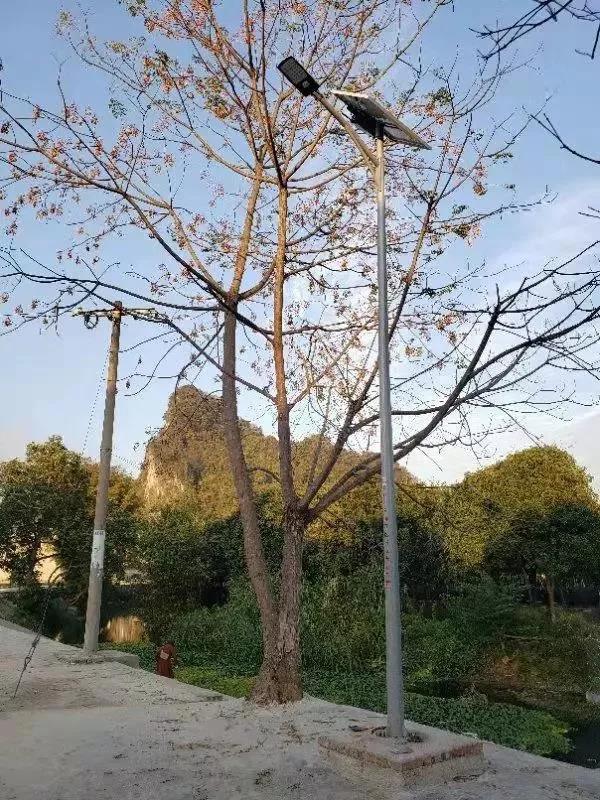 照亮農(nóng)村幸福路！源碼攜手建設柳州“村屯光亮工程