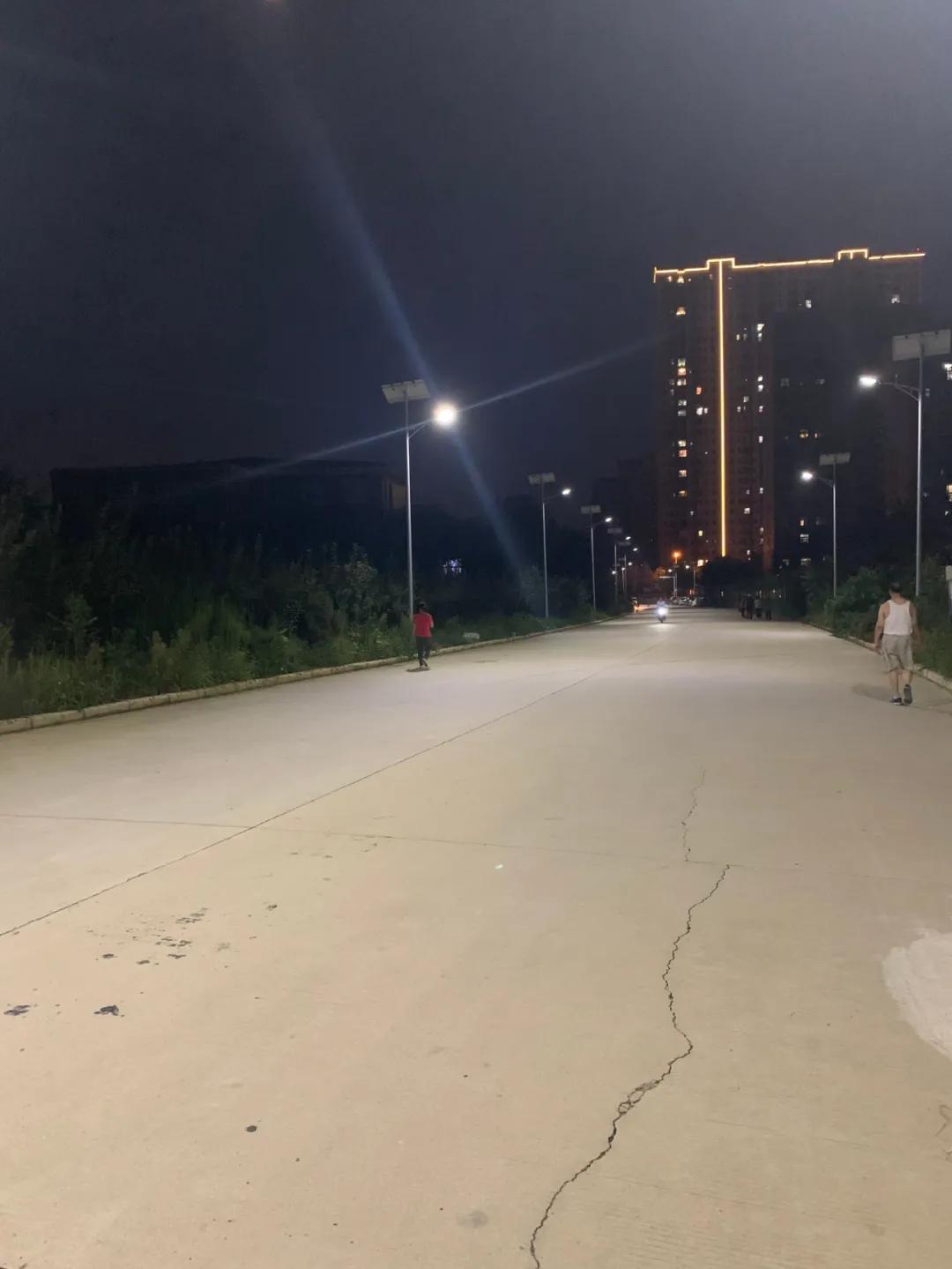 云鵬燈〡九萬(wàn)里風(fēng)安稅駕，云鵬今悔不卑飛