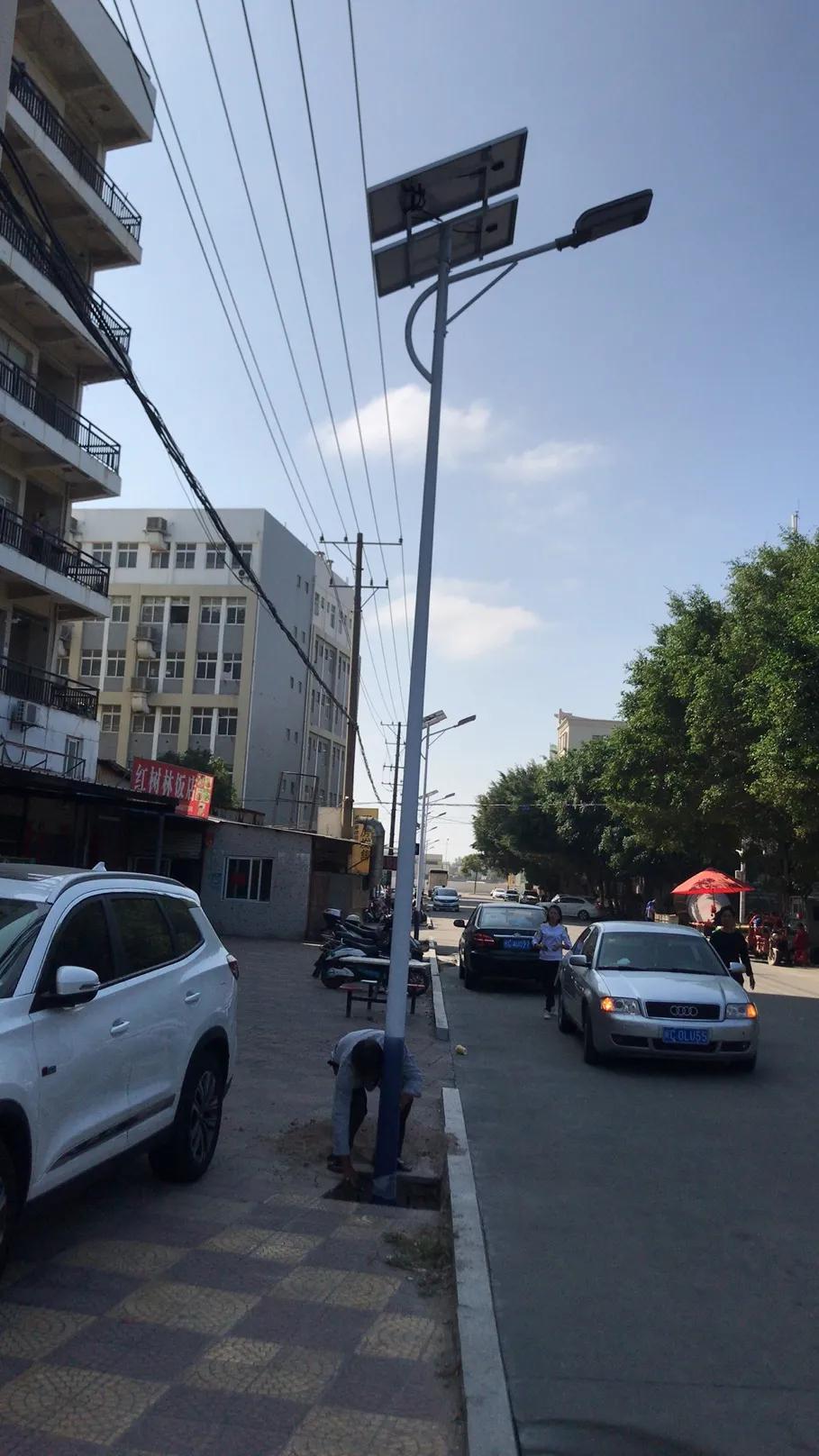 云鵬燈〡九萬(wàn)里風(fēng)安稅駕，云鵬今悔不卑飛